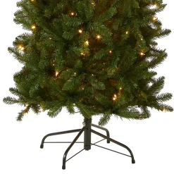 National Tree Company 6.5 ft. Pre-Lit Kingswood Fir Pencil Tree with Clear Lights