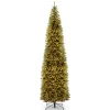 National Tree Company 12 ft. Pre-Lit Kingswood Fir Pencil Slim Tree with Clear Lights