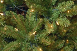 National Tree Company 9 ft. Pre-Lit Kingswood Fir Pencil Tree with Clear Lights