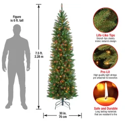 National Tree Company 7.5 ft. Pre-Lit Kingswood Fir Pencil Tree with Multicolor Lights