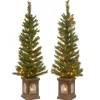 National Tree Company 4 ft. Pre-Lit Leigh Valley Tree Set with Clear Lights