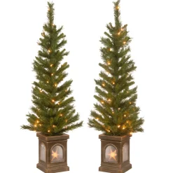 National Tree Company 4 ft. Pre-Lit Leigh Valley Tree Set with Clear Lights