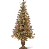 National Tree Company 4 ft. Pre-Lit Liberty Pine Tree with Clear Lights