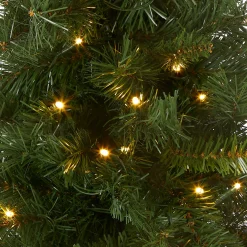 National Tree Company 2 ft. Pre-Lit Majestic Fir Tree with LED Lights, Red Base