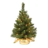National Tree Company 2 ft. Pre-Lit Majestic Fir Tree with Clear Lights, Gold Base