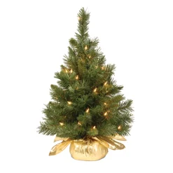 National Tree Company 2 ft. Pre-Lit Majestic Fir Tree with Clear Lights, Gold Base