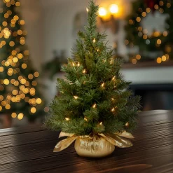 National Tree Company 2 ft. Pre-Lit Majestic Fir Tree with Clear Lights, Gold Base