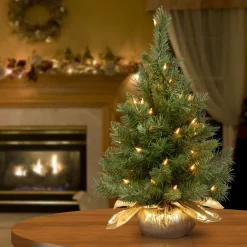 National Tree Company 2 ft. Pre-Lit Majestic Fir Tree with Clear Lights, Gold Base