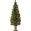 National Tree Company 4 ft. Pre-Lit Montclair Spruce Tree with Clear Lights