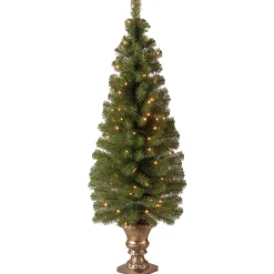 National Tree Company 4 ft. Pre-Lit Montclair Spruce Tree with Clear Lights