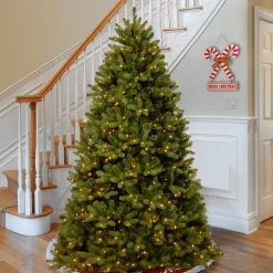 National Tree Company 9 ft. Pre-Lit Newberry Spruce Tree with Clear Lights