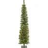 National Tree Company 6 ft. Pre-Lit Nooksack Fir Pencil Slim Tree with LED Lights
