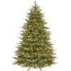 National Tree Company 7.5 ft. Pre-Lit Nordic Spruce Medium Tree with Clear Lights