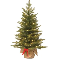National Tree Company 3 ft. Pre-Lit Nordic Spruce Tree with LED Lights