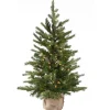 National Tree Company 3 ft. Pre-Lit Nordic Spruce Tree with Clear Lights