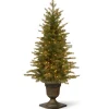National Tree Company 4 ft. Pre-Lit Nordic Spruce Tree with Clear Lights