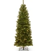 National Tree Company 6 ft. Pre-Lit North Valley Spruce Pencil Slim Tree with Clear Lights