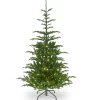 National Tree Company 6.5 ft. Pre-Lit Norwegian Spruce Tree with Clear Lights