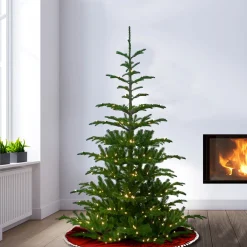 National Tree Company 6.5 ft. Pre-Lit Norwegian Spruce Tree with Clear Lights