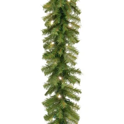 National Tree Company 9 ft. Pre-Lit Norwood Fir Garland with Twinkly LED Lights