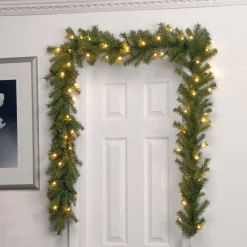 National Tree Company 9 ft. Pre-Lit Norwood Fir Garland with Twinkly LED Lights