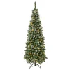 National Tree Company 6 ft. Pre-Lit Oakley Hills Snow Slim Tree with LED Lights