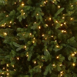 National Tree Company 6.5 ft. Pre-Lit Princeton Fraser Fir Tree with PowerConnect Dual Color LED Lights