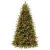 National Tree Company 7.5 ft. Pre-Lit Princeton Fraser Fir Tree with LED Lights