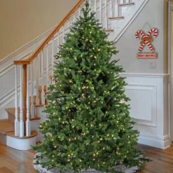 National Tree Company 6.5 ft. Pre-Lit Rockport Tree with PowerConnect LED Lights