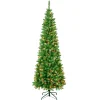 National Tree Company 7.5 ft. Pre-Lit Rowan Pencil Slim Tree with Multicolor Lights
