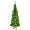 National Tree Company 6 ft. Pre-Lit Rowan Slim Tree with Multicolor Lights