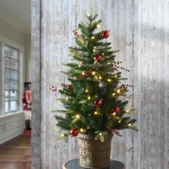 National Tree Company 4 ft. Pre-Lit Scotch Creek Fir Tree with LED Lights