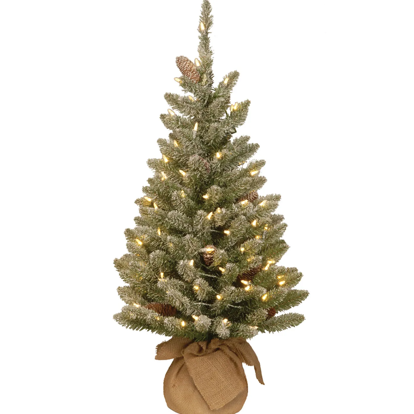 National Tree Company 3 ft. Pre-Lit Snowy Concolor Fir Tree with LED Lights