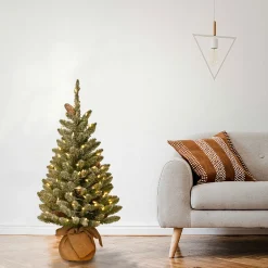 National Tree Company 3 ft. Pre-Lit Snowy Concolor Fir Tree with LED Lights