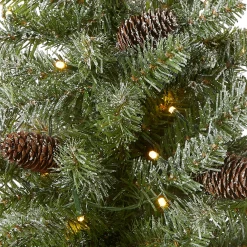 National Tree Company 2 ft. Pre-Lit Snowy Concolor Fir Tree with LED Lights