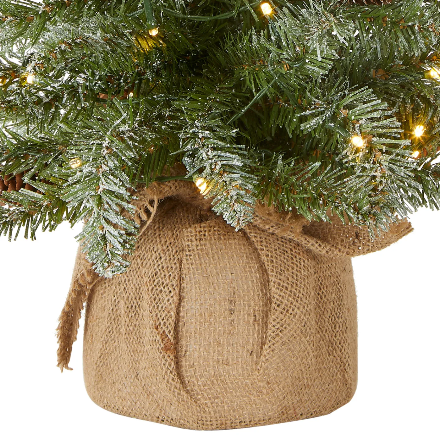 National Tree Company 2 ft. Pre-Lit Snowy Concolor Fir Tree with LED Lights