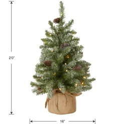 National Tree Company 2 ft. Pre-Lit Snowy Concolor Fir Tree with LED Lights