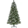 National Tree Company 7.5 ft. Pre-Lit Snowy Conconully Tree with LED Lights