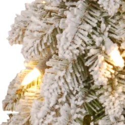 National Tree Company 2 ft. Pre-Lit Snowy Downswept Forest Tree with Clear Lights