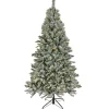 National Tree Company 7.5 ft. Pre-Lit Snowy Harwich Tree with PowerConnect Dual Colored LED Lights