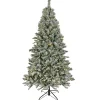 National Tree Company 6.5 ft. Pre-Lit Snowy Harwich Hinged Tree with PowerConnect Warm White LED Lights