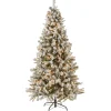 National Tree Company 6.5 ft. Pre-Lit Snowy Mixed Pine Tree with Clear Lights