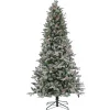National Tree Company 7.5 ft. Pre-Lit Snowy Poechmann Fir Tree with LED Lights