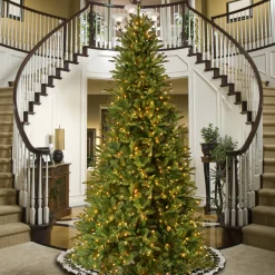 National Tree Company 12 ft. Pre-Lit Tiffany Fir Slim Tree with Clear Lights