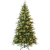 National Tree Company 6 ft. Pre-Lit Virginia Pine Mixed Tree with LED Lights