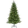 National Tree Company 6 ft. Pre-Lit Whatcom Pine Tree with LED Lights