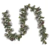 National Tree Company 9 ft. Pre-Lit Whitter Pine Garland with LED Lights