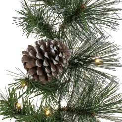 National Tree Company 9 ft. Pre-Lit Whitter Pine Garland with LED Lights