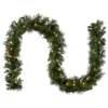 National Tree Company 9 ft. Pre-Lit Winchester Pine Garland with Clear Lights