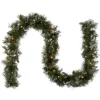 National Tree Company 9 ft. Pre-Lit Wispy Willow Garland with Clear Lights